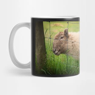 The Smiling Sheep Mug